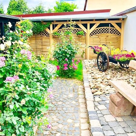 Ferienwohnungen Grimma 1 Eksteriør billede